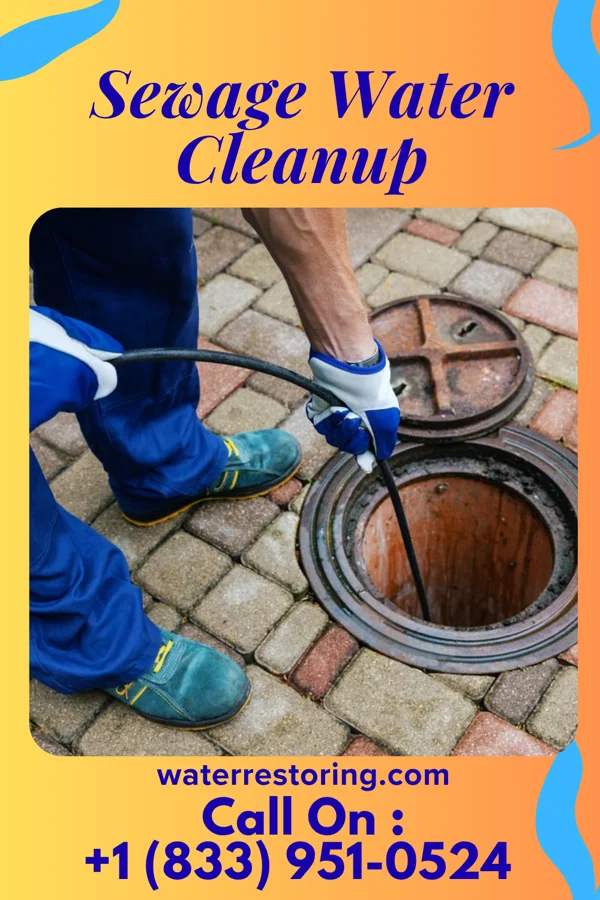 Sewage Water Cleanup in Wildwood, MO